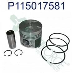 Piston &amp; Ring Kit, Standard