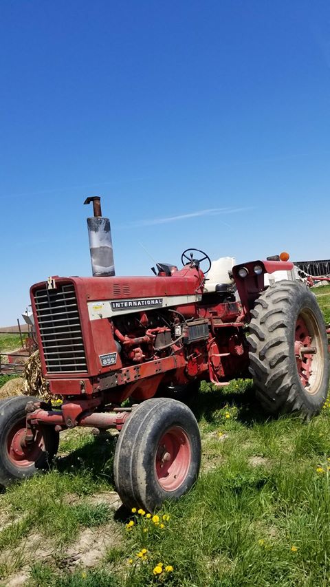 Micha's tractor before restoration