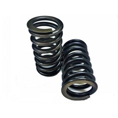 Valve Spring