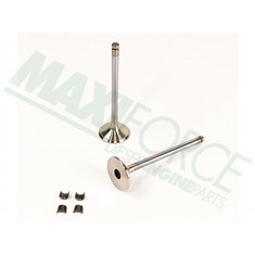 Exhaust Valve Kit