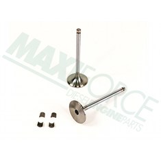 Intake Valve Kit