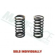 Inner Valve Spring