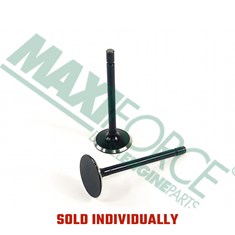 Intake Valve