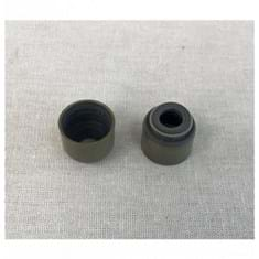 Exhaust Valve Seal