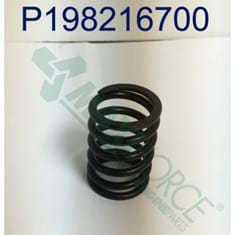 Valve Spring