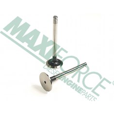 Exhaust Valve, 30 Degree