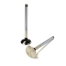 Exhaust Valve