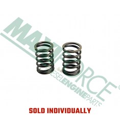 Inner Valve Spring