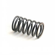 Valve Spring