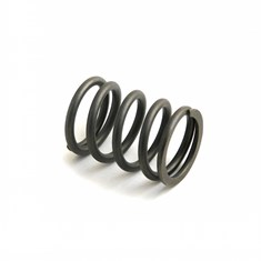 Valve Spring