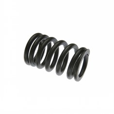 Valve Spring