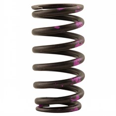 Valve Spring