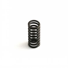 Intake Valve Spring