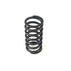 Inner Valve Spring