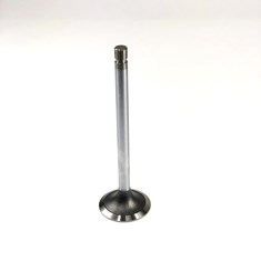 Intake Valve